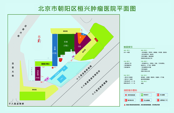 黄9逼操北京市朝阳区桓兴肿瘤医院平面图